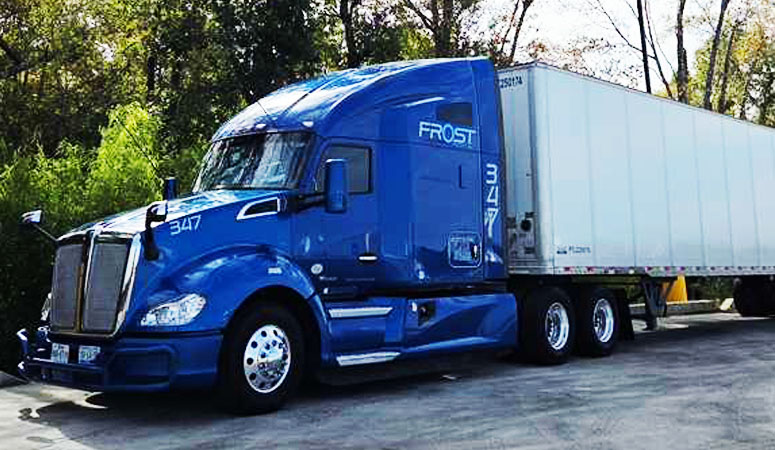 Nuestros Servicios Incluyen